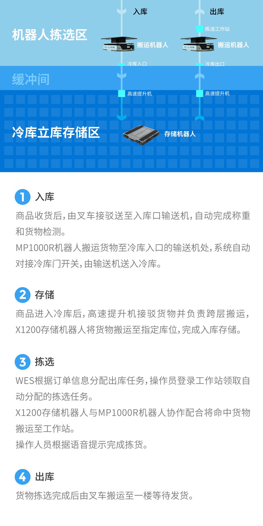 内文插图