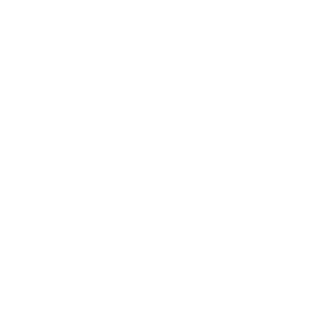 Vertex-2 logo