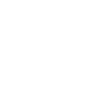 starlinks-logo
