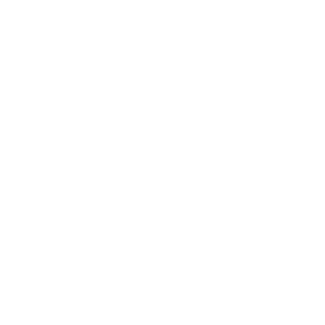 ship8-INC-1_logo