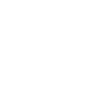 dsv-logo