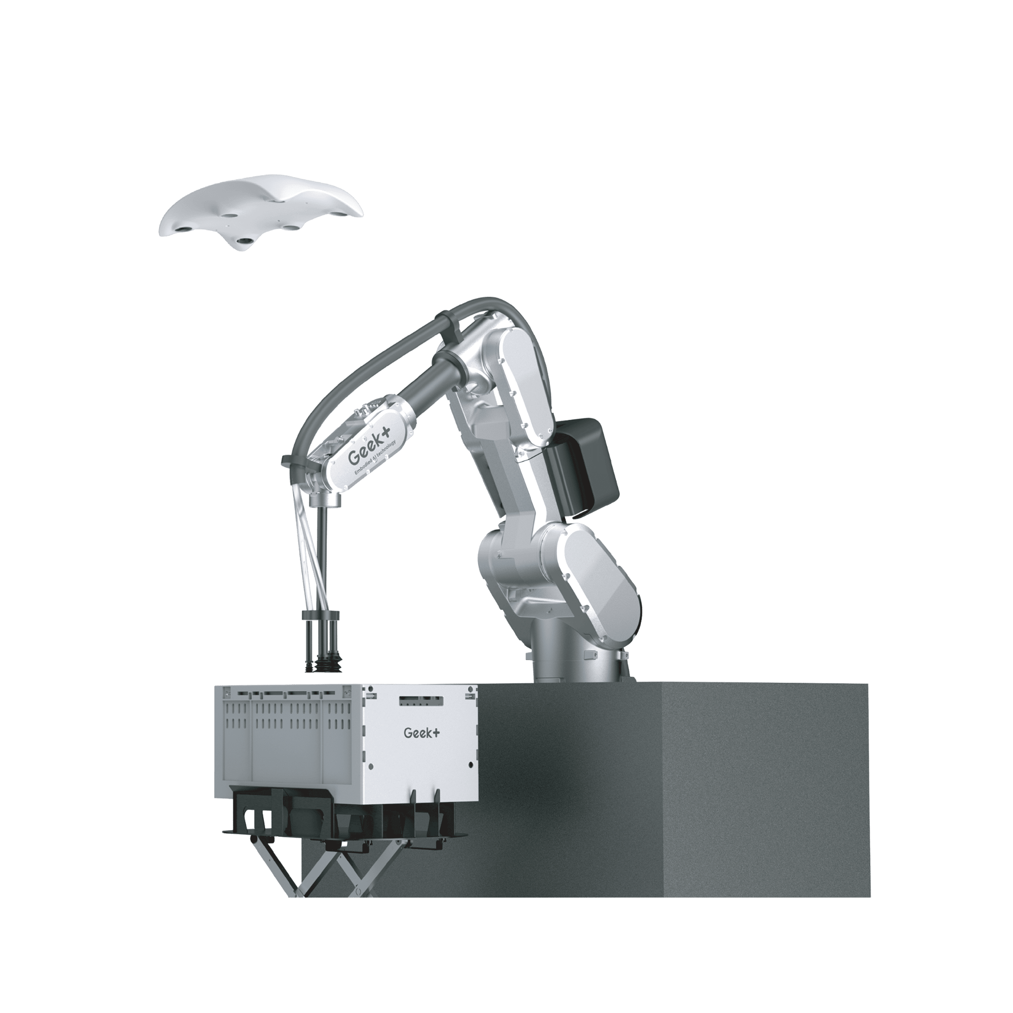 Robot Arm Picking Station with 6-Eye