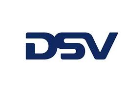 dsv logo