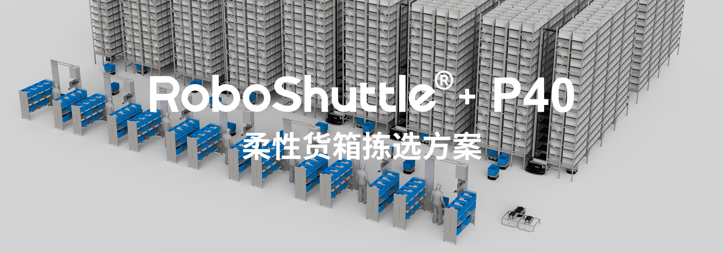 柔性货箱拣选方案