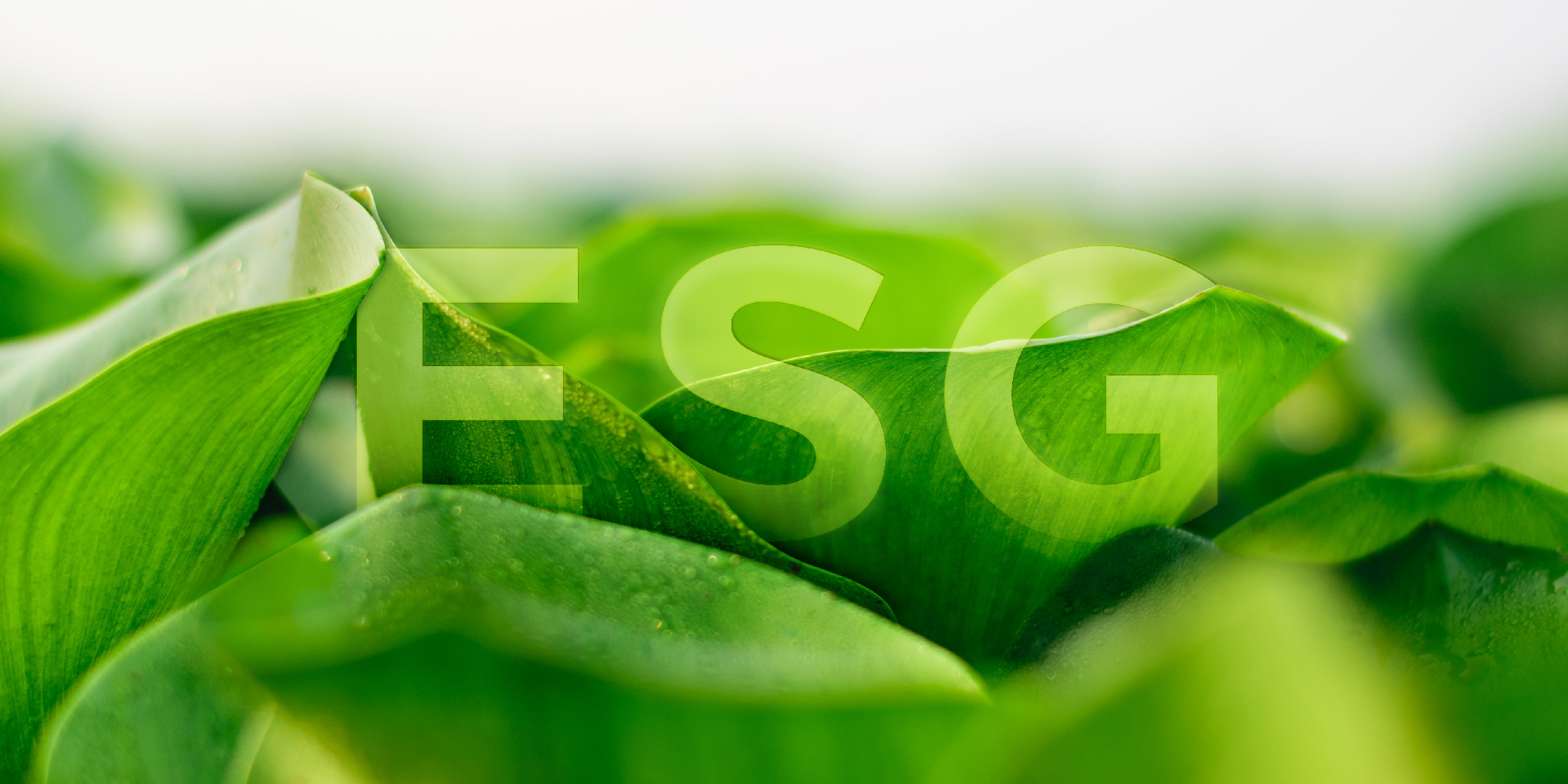ESG实践丨极智嘉再获ISO三体系认可