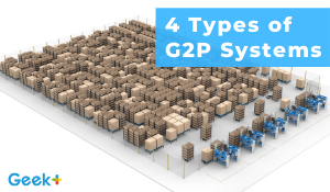 4 Types of G2P Systems