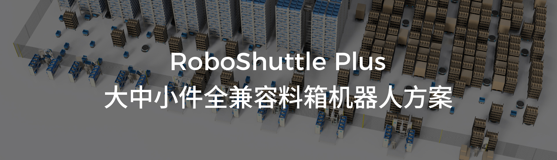 RS Plus_1920x552