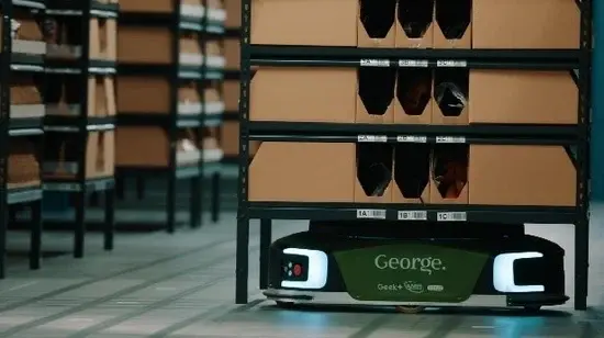 Geek+ and George: Optimizing Returns and Fulfillment Processes