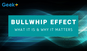 What is the Bullwhip Effect and Why it Matters